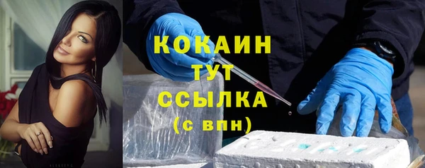 гашик Белокуриха