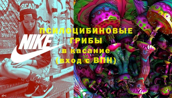 таблы Богородицк