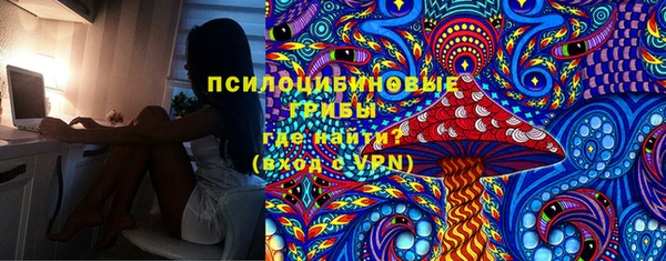 таблы Богородицк